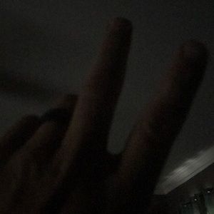 Meet your Posher, Donald